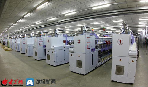 泰山区上高街道 项目建设点燃新旧动能转换助推器，技术开发引领高质量发展